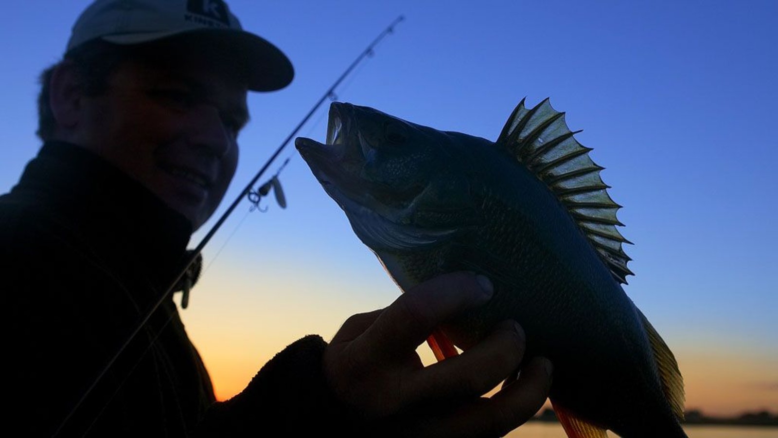 Angling around Lolland-Falster
