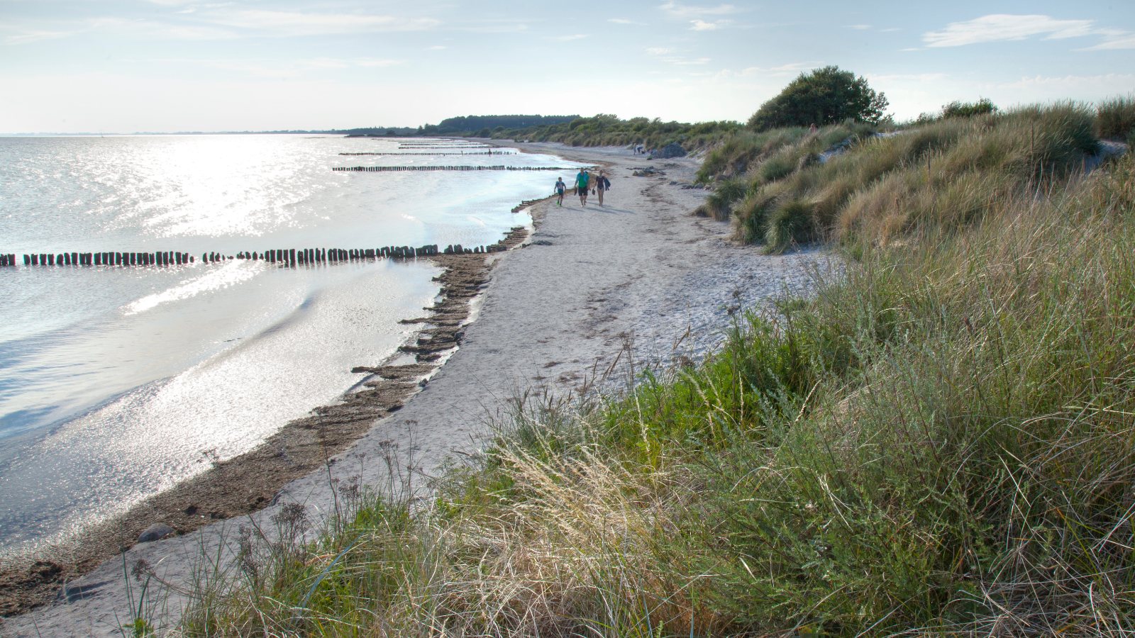 Familie går på strand