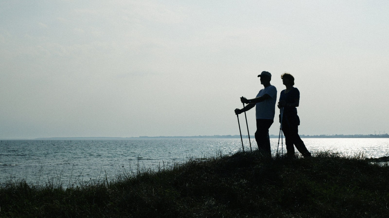 Par vandrer ved vandet