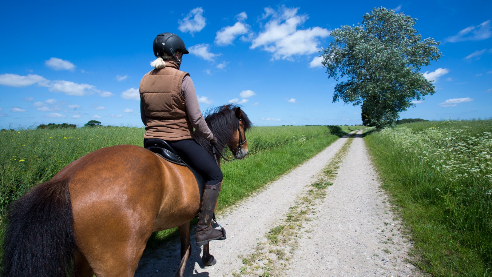 Ny Kirstineberg ridning på hest