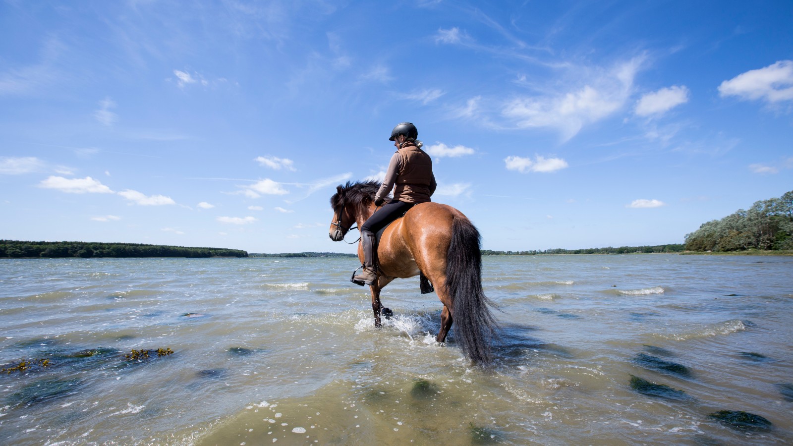 Ny Kirstineberg Gods rytter og hest i vandet sommer
