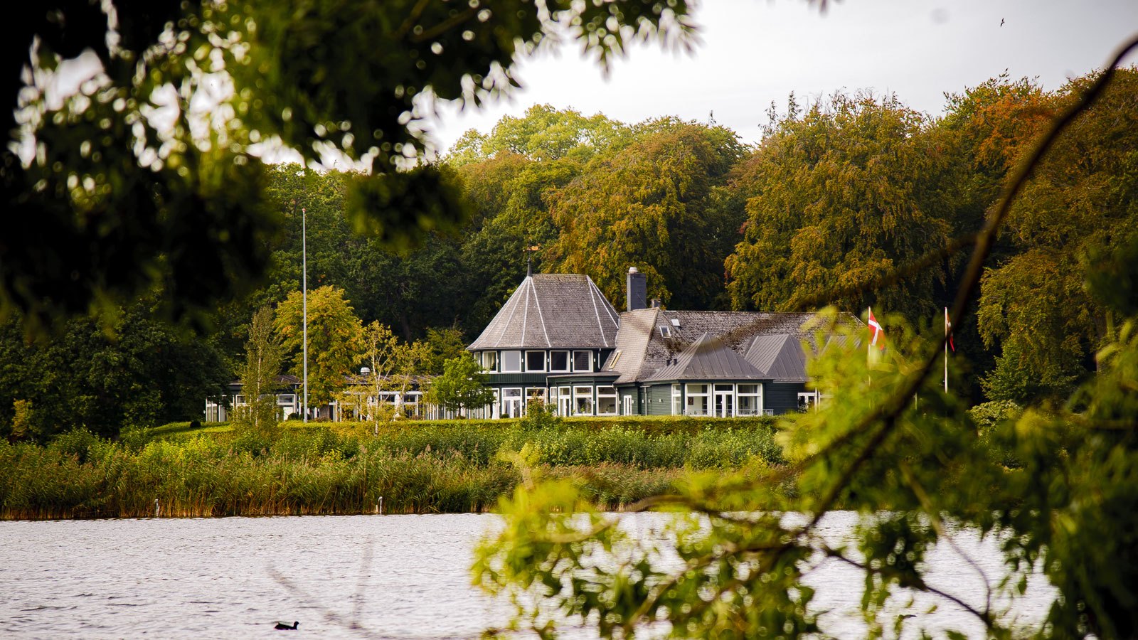 Restaurant Bangs Have