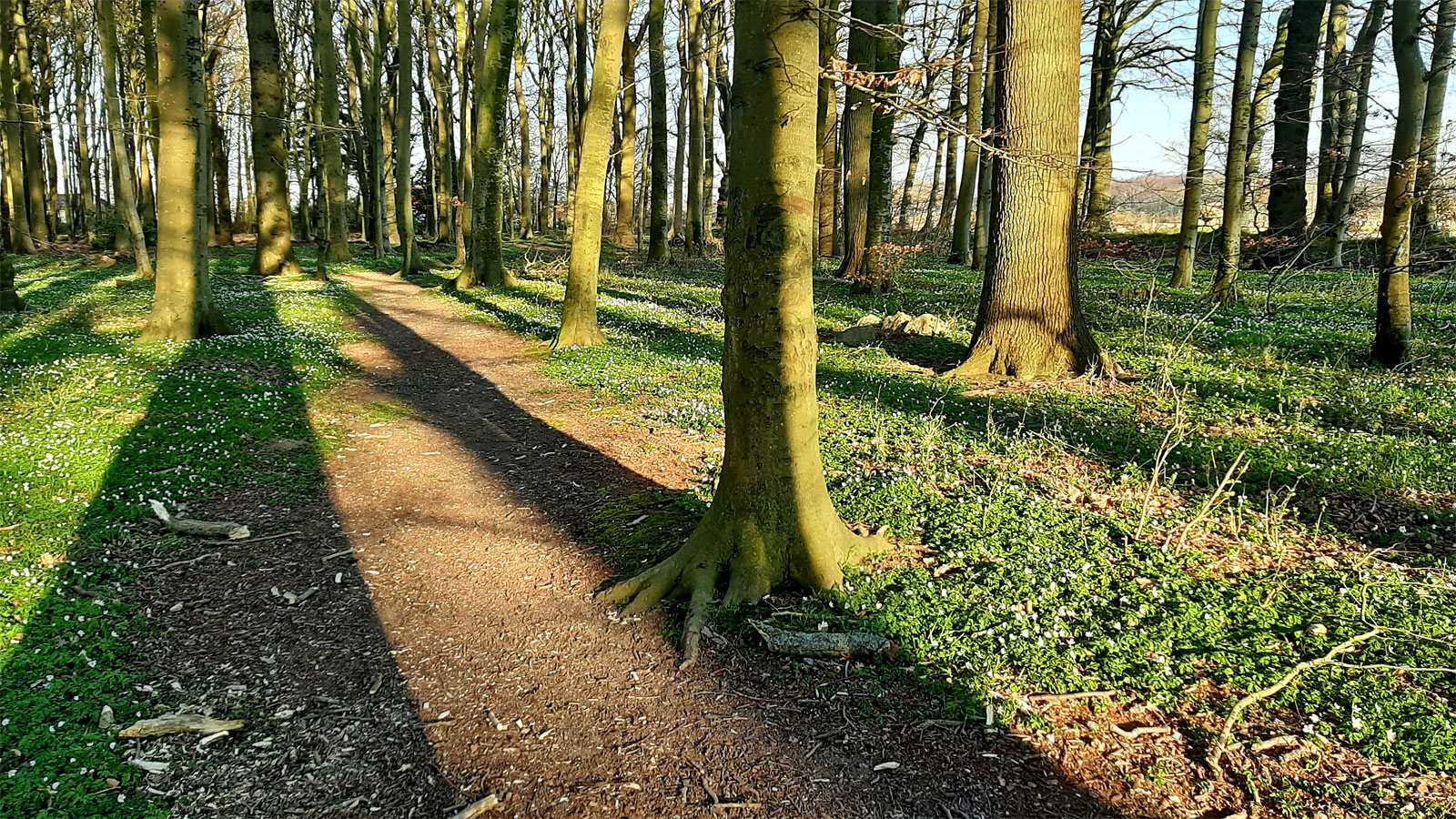 Vandretur Halskov Vænge