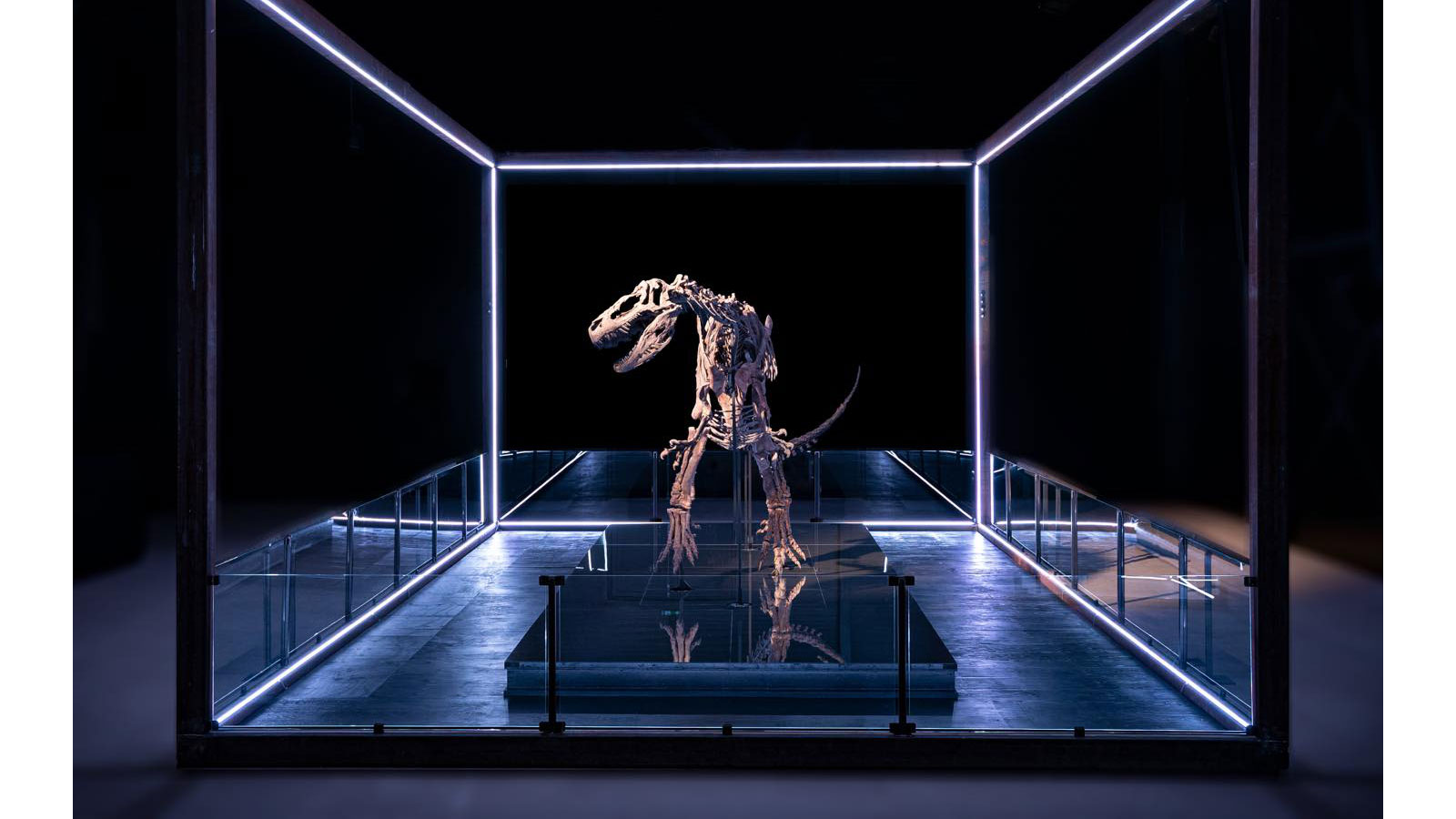 Evolutionsmuseet