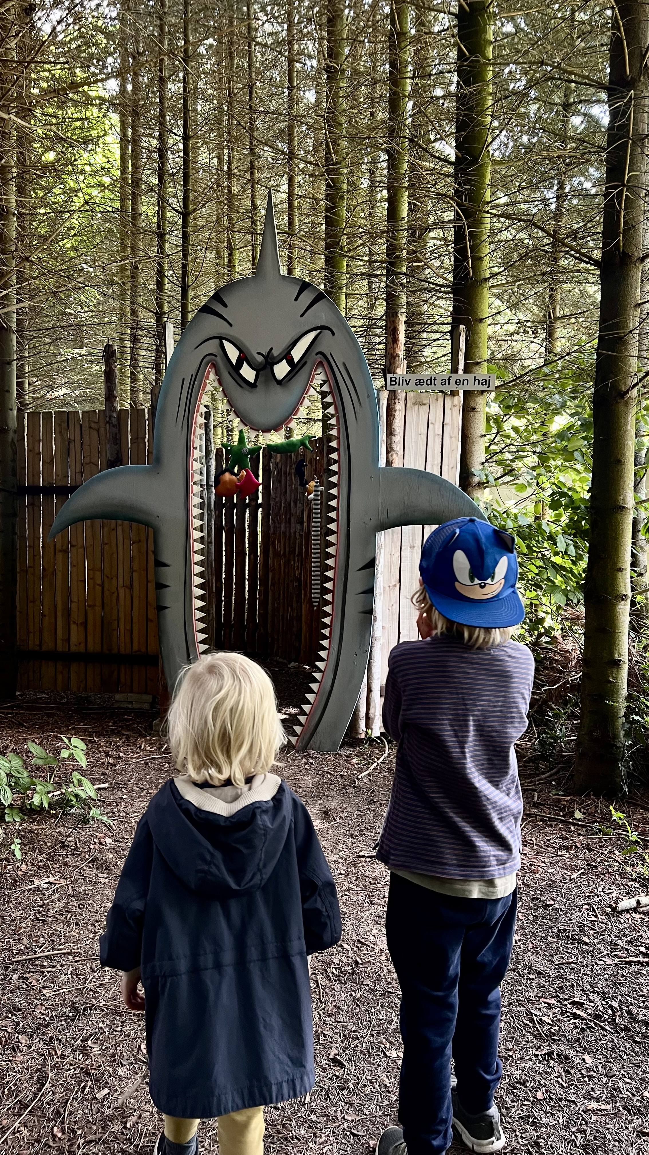 Børn i Labyrint Lolland-Falsyer