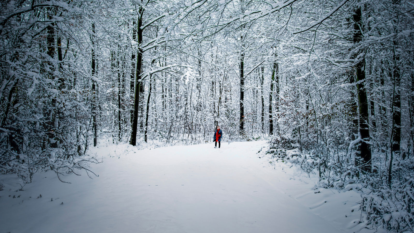 Vinter på Lolland-Falster