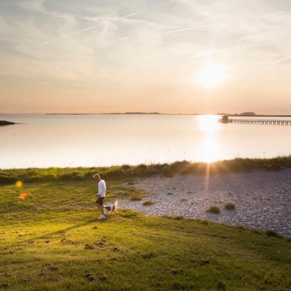 Naturpark Nakskov Fjord Hestehoved ved solnedgang