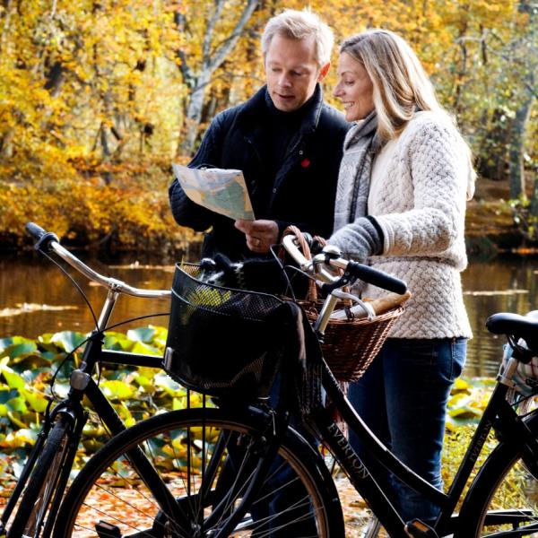 Par cykler om efteråret