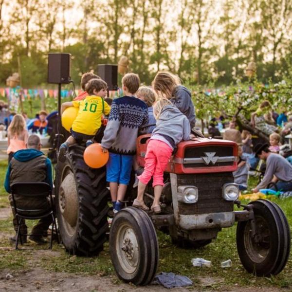 Apple Flower Festival Askø-Lilleø børn på traktor