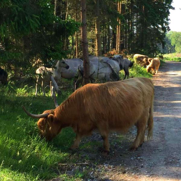 Bøtø Naturområde