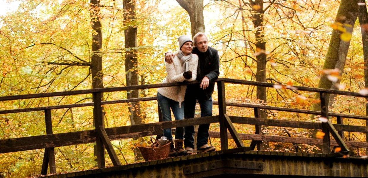 Efterår par på bro i skov