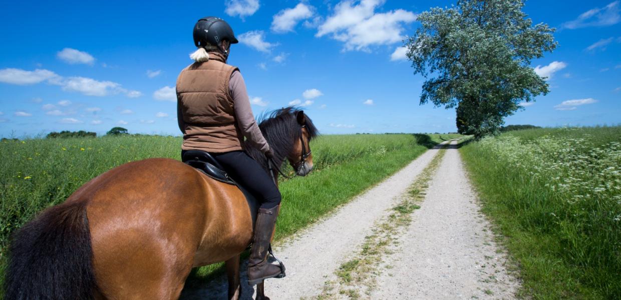 Ny Kirstineberg ridning på hest