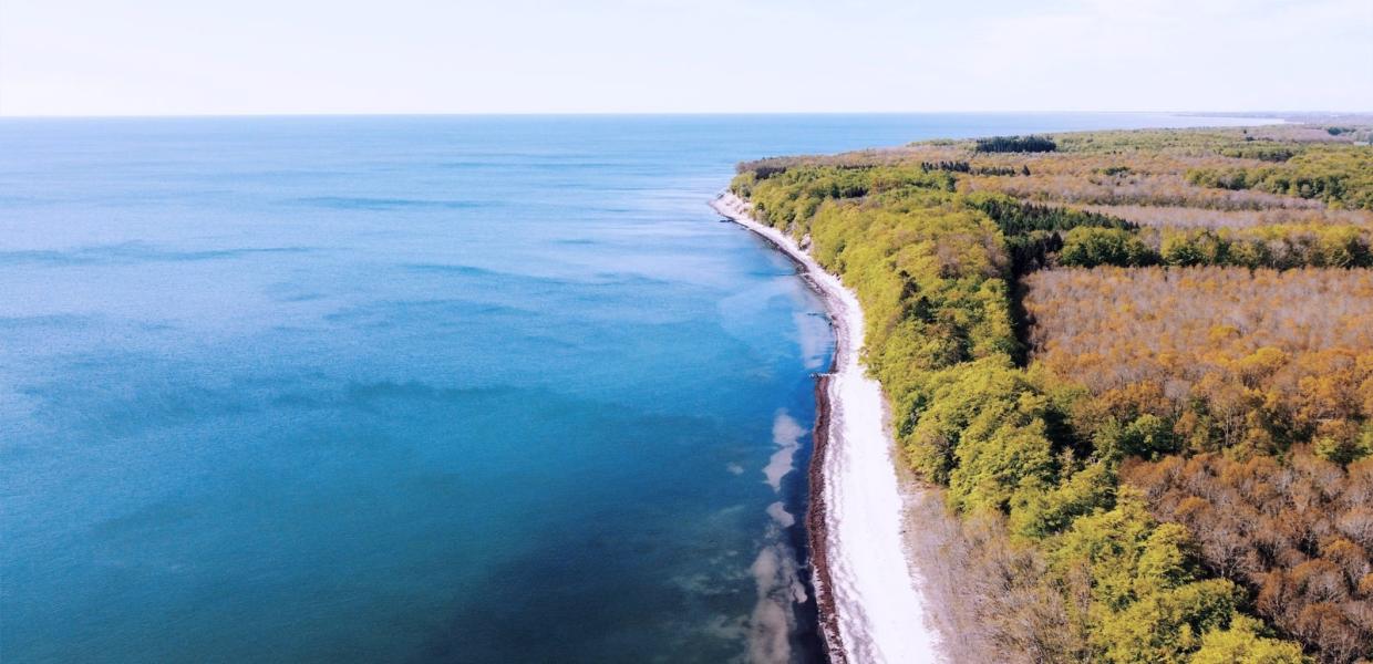 Hesnæs Strand