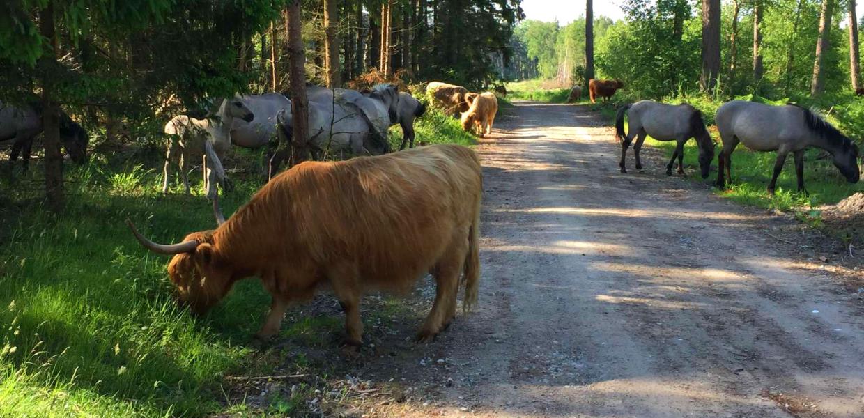 Bøtø Naturområde