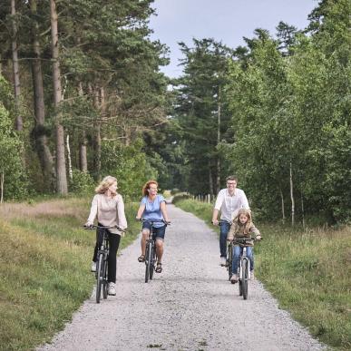 Familie cykler sommer