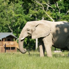 Knuthenborg Safaripark